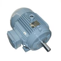 WEG Electric Corp  00718EP3E213T