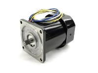 Oriental Motor  5IK60GS-A2F