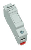 Bussmann  CHCC1D