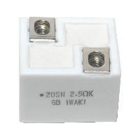 Iwaki  RES-2.5-OHM-20W-25-30-24
