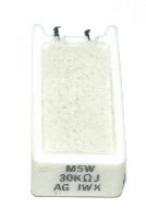 Iwaki  RES-30-KOHM-5W-13-9-25