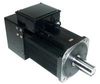 Yaskawa  SGMG-2ZAWW-NJ11