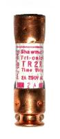 Ferraz Gould Shawmut  TR2R